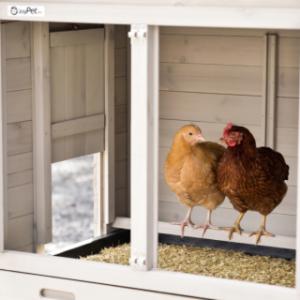Clapier Prestige Small est approprié pour 3 petit poules