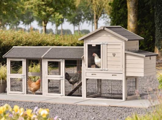 Poulailler Prestige Small Light-grey avec 2 enclos et pondoir 265x72x122cm