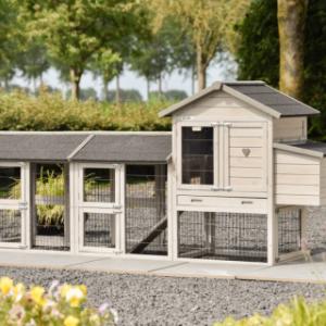 Poulailler Prestige Small Light-grey avec 2 enclos et pondoir 265x72x122cm