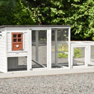 Clapier pour lapin | l'enclos additive offre beaucoup d'espace pour vos lapins