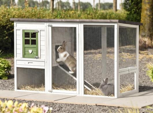 Clapier pour lapin Julia Julia Olive 169x75x104cm