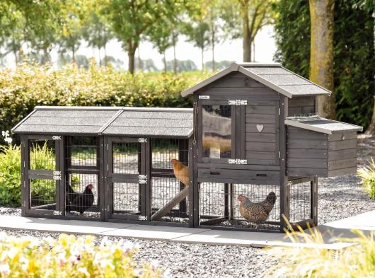 Poulailler Prestige Small Black avec 2 enclos et pondoir 265x72x122cm
