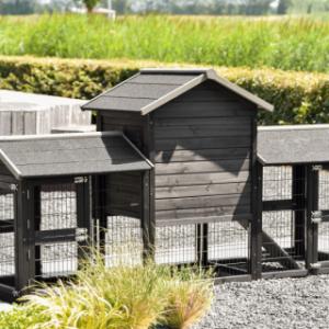 Un vu dans l'arrière du clapier pour lapin Prestige Small Black