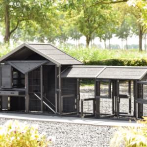Poulailler Holiday Small Black a plusieurs ouvertures