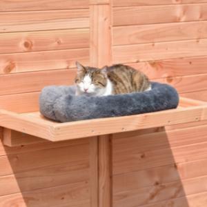 Avec un coussin assorti, le chat peut se reposer encore plus confortablement sur la plateforme
