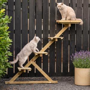 Arbre à chat en bois de sapin imprégné?