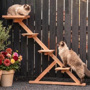 Arbre à chat en bois de douglas non traité