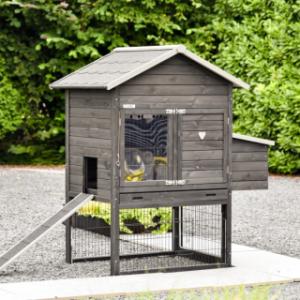 Prestige Medium Black avec pondoir