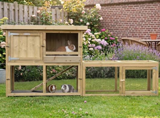 Clapier Axi Maxi dans le jardin