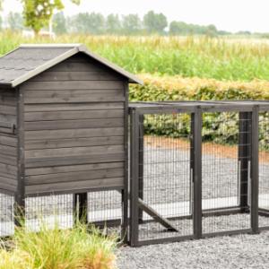 Un vu dans l'arrière le clapier pour lapin Prestige Medium Black