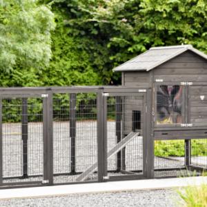 Le clapier Prestige Medium Black offre beaucoup d'espace pour vos lapins