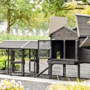 La pondoir du poulailler Prestige Medium Black a un toit articulé
