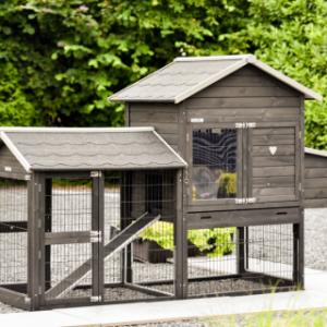 Poulailler Prestige Medium Black avec enclos et pondoir