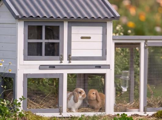 Ensemble d'isolation en plexiglass · pour clapier pour lapin Nice avec enclos Advance