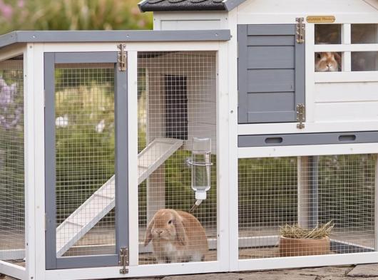 Ensemble d'isolation en plexiglass · pour clapier pour lapin Advance