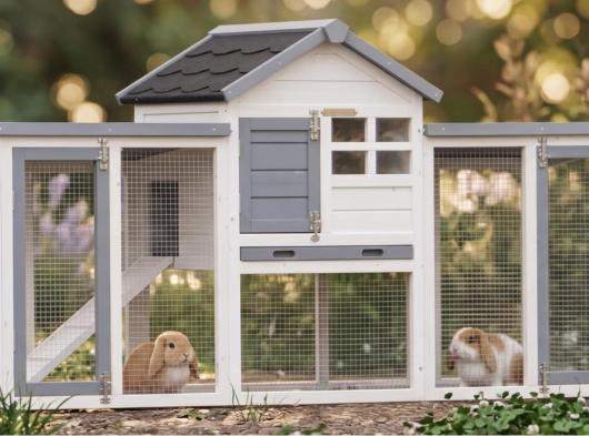 Ensemble d'isolation en plexiglass · pour clapier pour lapin Advance Double
