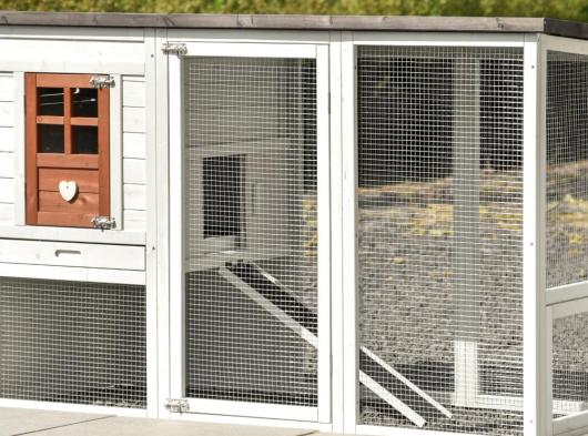 Ensemble d'isolation en plexiglass · pour clapier pour lapin Julia