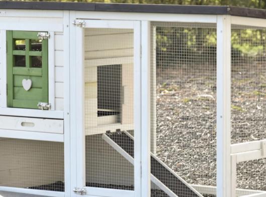 Ensemble d'isolation en plexiglass · pour clapier pour lapin