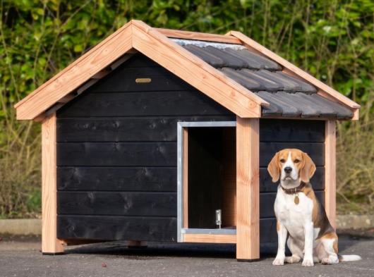 Niche pour chien Reno noir/Douglas isolée 160x106x123cm