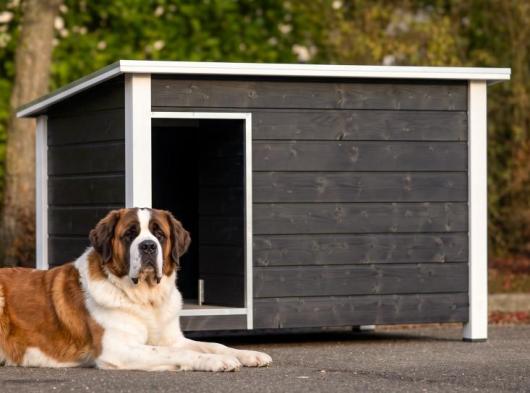 Niche pour chien isolée Loebas