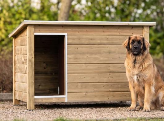 ✓ Niche pour chien ✓ imprégnée Loebas