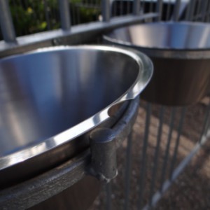 L’ensemble double de gamelles est équipé de 2 gamelles en acier inoxydable