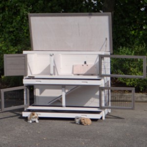 Clapier avantageux Adrian avec anti-rongement