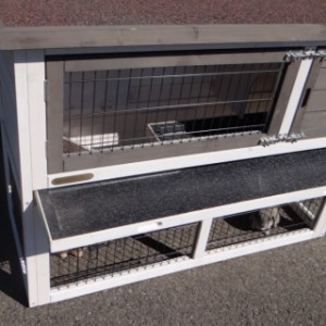 Clapier Marianne avec anti-rongement