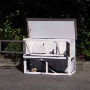 Clapier facille à nettoyer