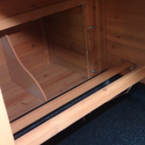 Poulailler avec des perches