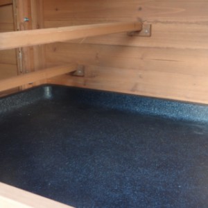 Poulailler avec des perches