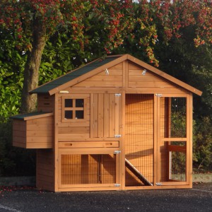 Poulailler en bois Holiday Medium avec pondoir