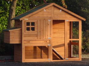 Poulailler Holiday Medium avec pondoir