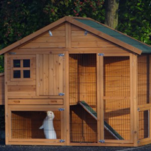 Poulailler avec pondoir