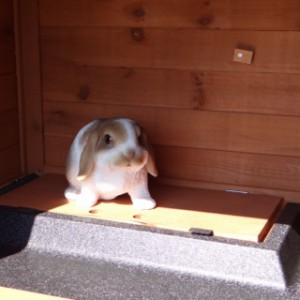 Étage verrouillable du clapier Excellent Medium