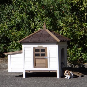 Clapier pour lapin Ambiance Small · 108x77x99cm