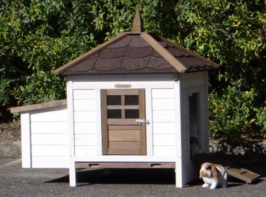 Clapier pour lapin Ambiance Small · 108x77x99cm