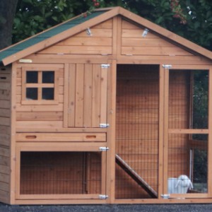 Grand clapier lapin Holiday Medium avec enclos