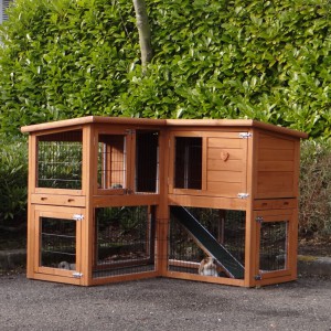 Clapier - lapinière Maurice