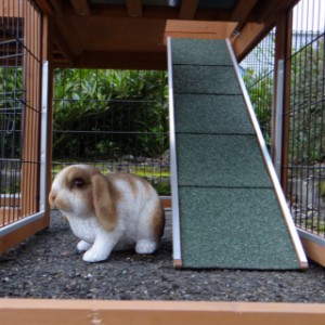 Le longueur de la rampe du clapier pour lapin Maurice est ca. 90cm