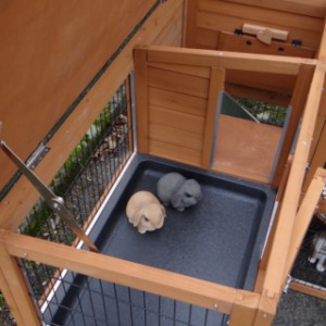 Clapier pour lapin Maurice | avec toit articulé