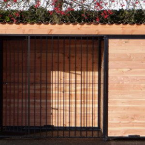 Chenil pour chien en ligne