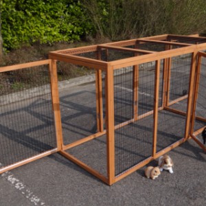 Enclos pour animaux Functional est équipée avec 4 portes