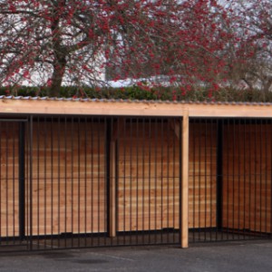 Grand chenil FORZ avec niche