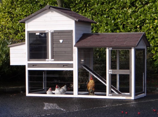 Poulailler Prestige Medium avec enclos et pondoir