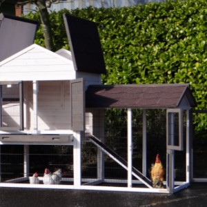 Poulailler pour dehors