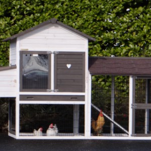 Poulailler avec enclos et pondoir