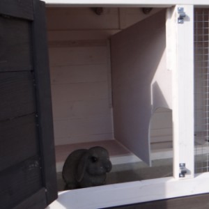 Clapier pour lapin Annemieke avec enclos et ensemble d'isolation | ouverture de la nichoir