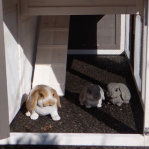 Enclos en dessous clapier Annemieke