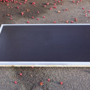 La terrasse offre un endroit confortable pour votre chien.